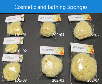 Cosmetic and Bathing Sponges